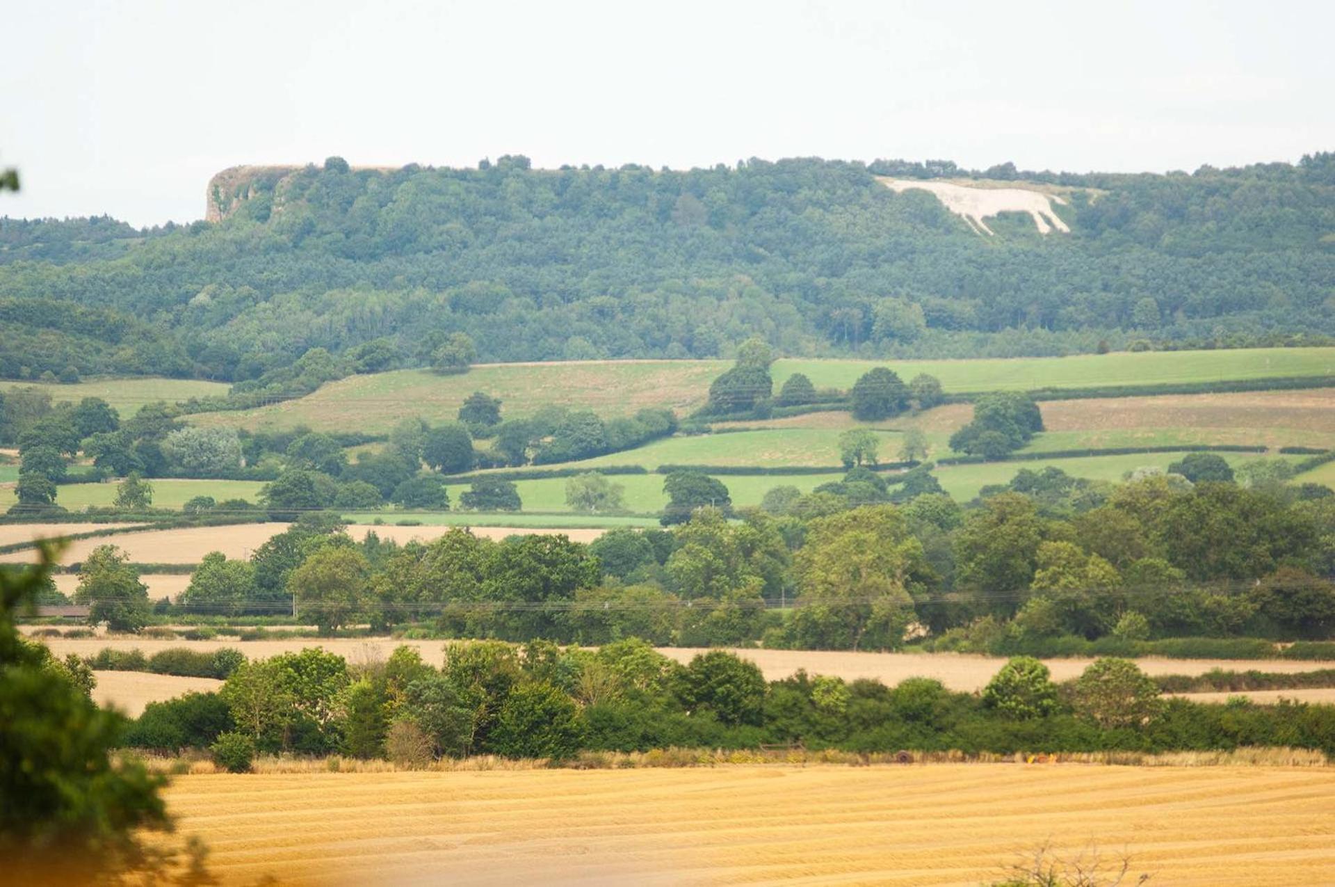 Burtree House & Retreats Tipi With Secluded Hot Tub Hotel Thirkleby Bagian luar foto